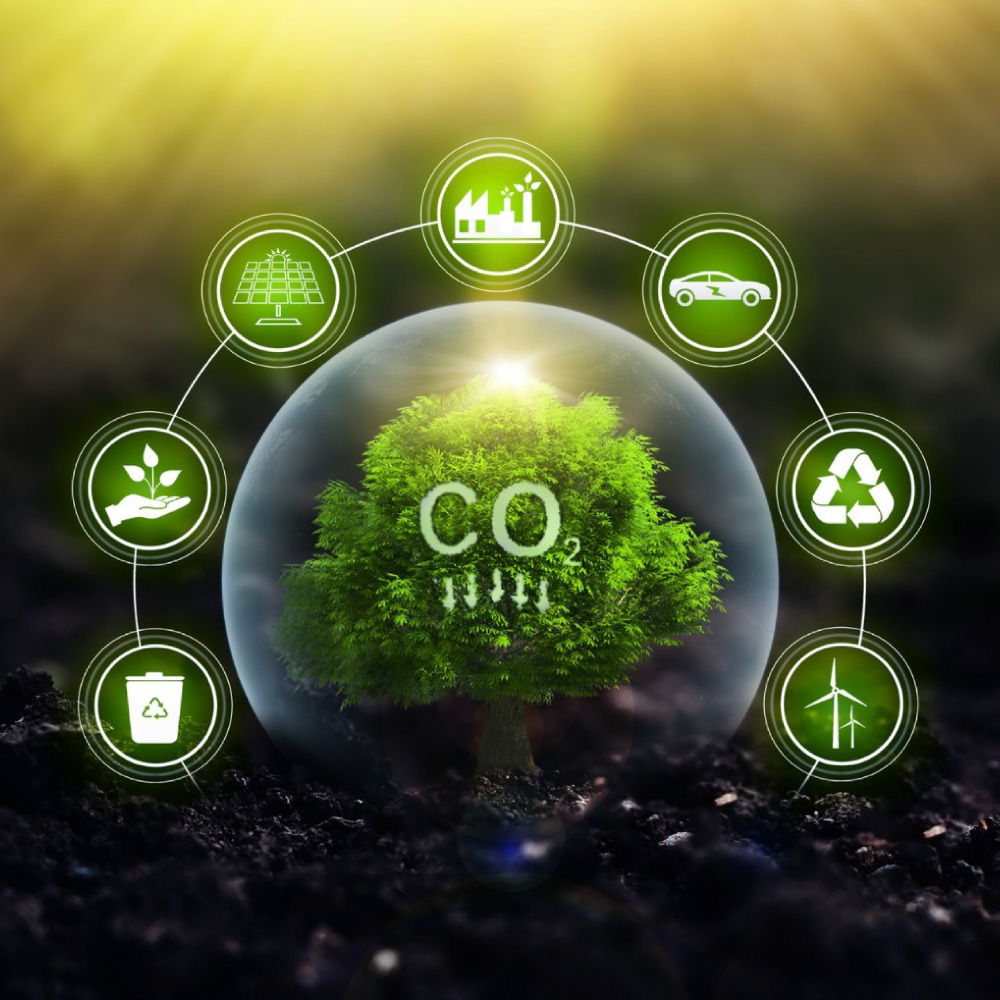 Step 5: Transition to the Electricity Market